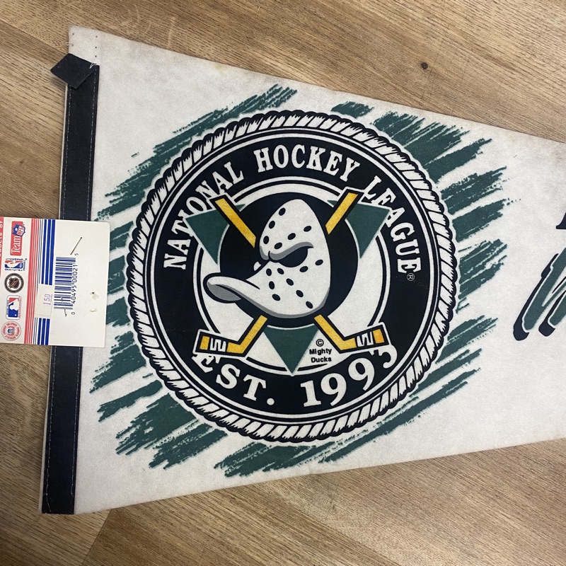 Vintage Disney NHL Anaheim Mighty Ducks Hockey Snapback Hat
